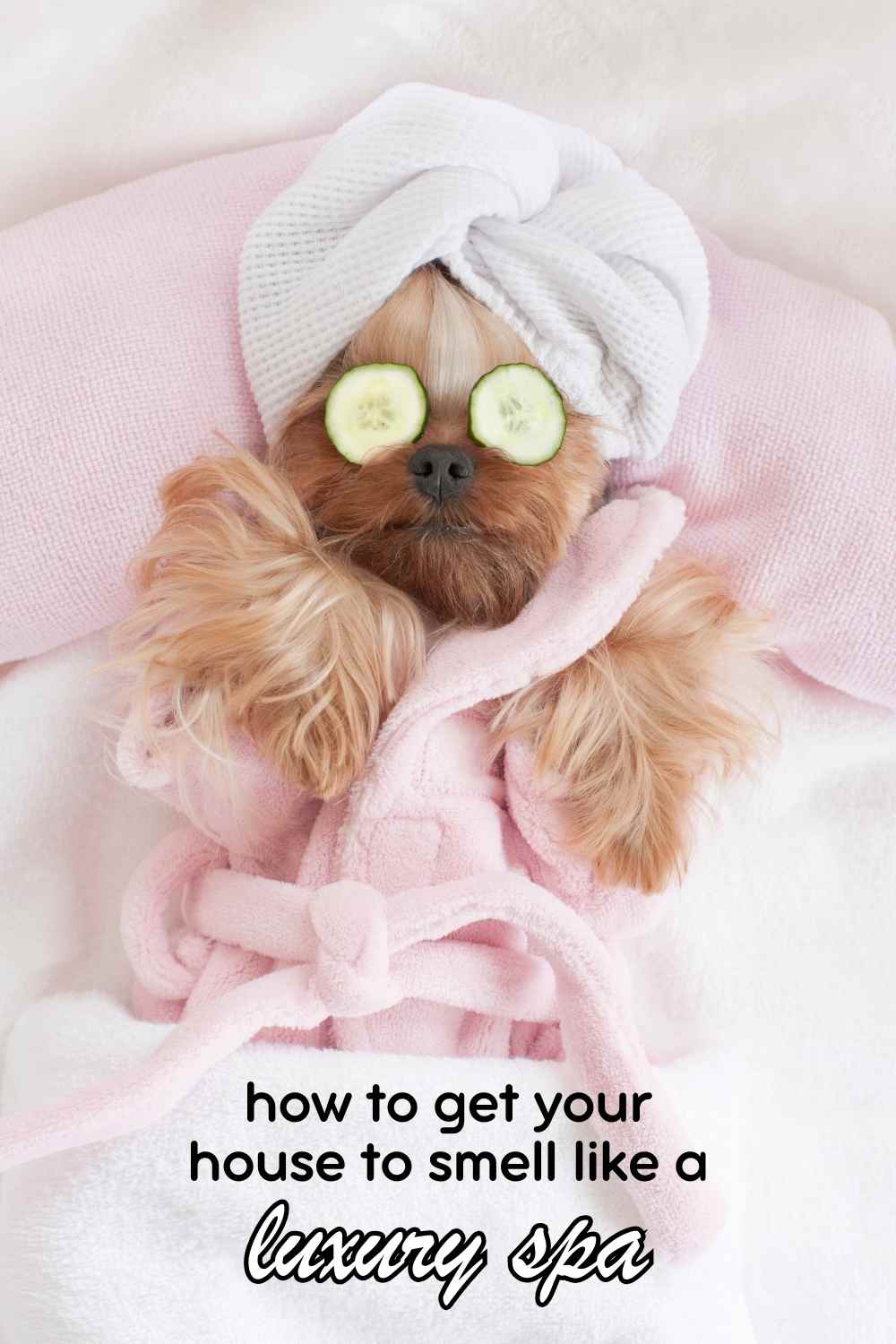 How to Make Your House Smell Like a Spa in One Easy Step 32 How to Make Your House Smell Like a Spa in One Easy Step